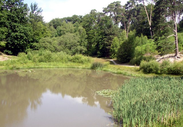 2009 06 Myco porte Baudet 02